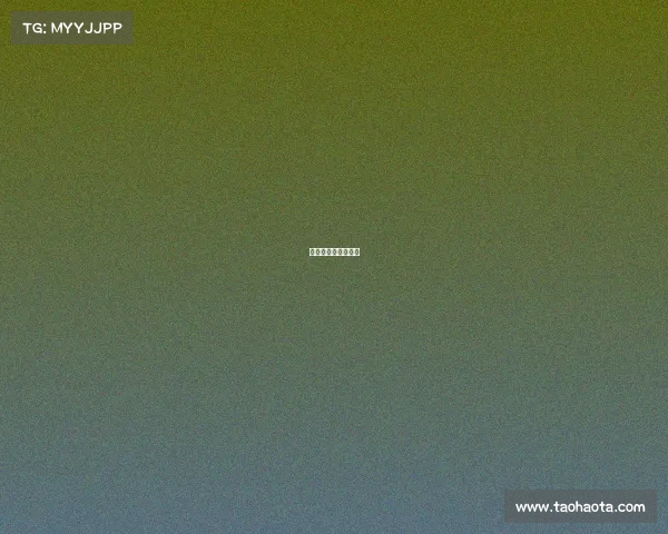 火箭夏季联赛赛程表